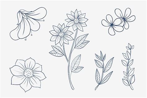 Simple Flower Line Drawing Vector | Best Flower Site