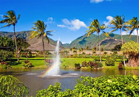 Zipline Tour at Maui Tropical Plantation | Maui Zipline Company | Tripster