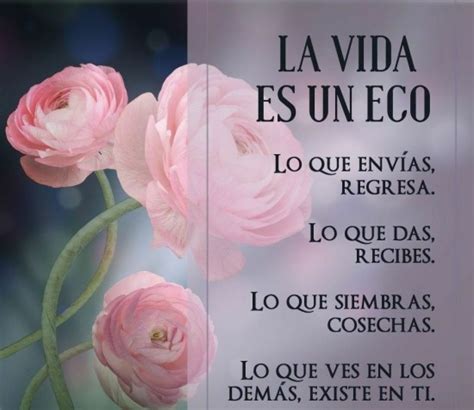 Imágenes de FLORES con Frases Bonitas Saberimagenes