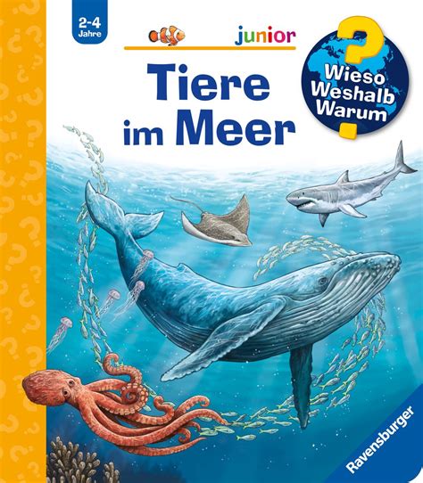 Wieso Weshalb Warum Junior Band 57 Tiere Im Meer Von Anita Van