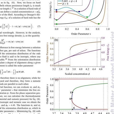 Panel A Excess Free Energy Density F O As A Function Of The Order