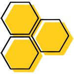 What Is A Pussy Willow Definition Characteristics And Uses Pollenpaths