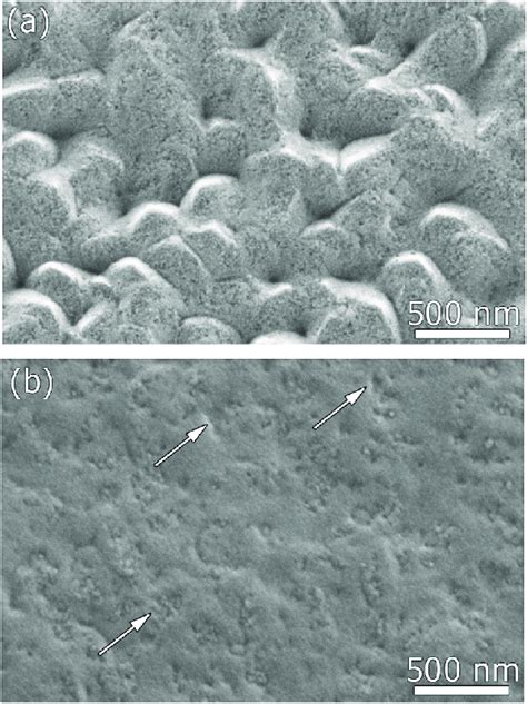 Scanning Electron Micrographs Secondary Electrons Of Mg 06 At Ag