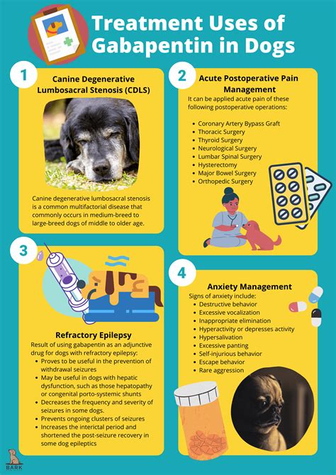 Gabapentin For Dogs: Uses, Benefits, And Safety Tips