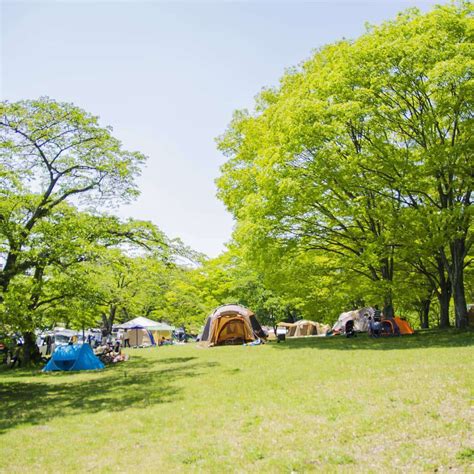 【別府市営志高湖キャンプ場】 キャンプ予約は【excamp】