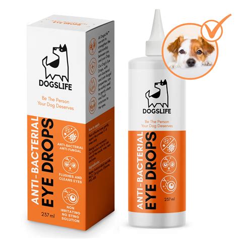 Eye Drops For Old Dogs at Harry Brawner blog