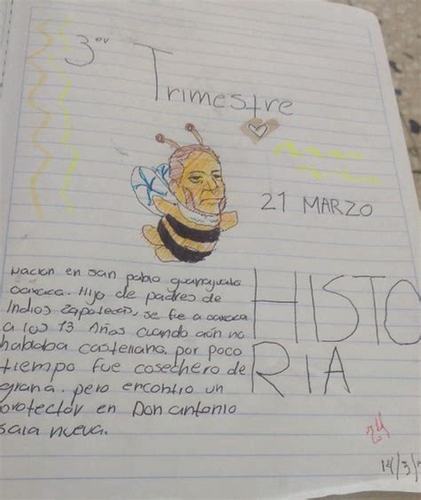 Un Benito Ju Rez Abeja Para Recibir La Primavera Es Lo Mejor Que Ver S Hoy