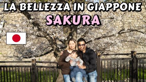 Il Periodo Migliore Per Viaggiare In Giappone YouTube