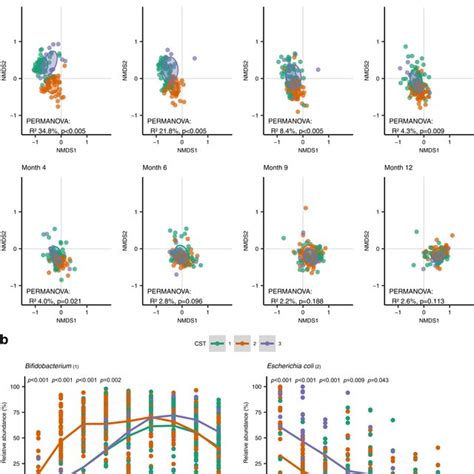 Temporal Gut Microbial Composition Development According To Week