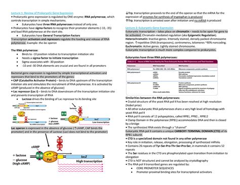 MCB2050 Midterm Summary Notes Lecture 1 Review Of Prokaryotic Gene