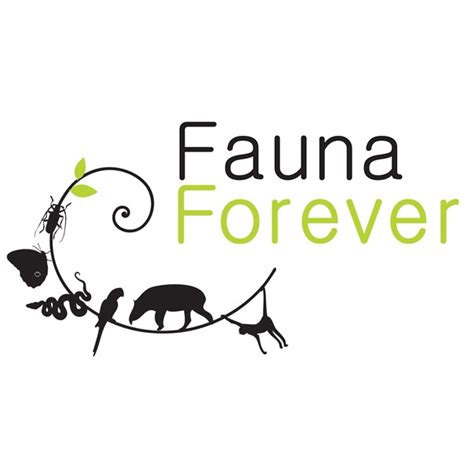 Fauna Forever | Peru Amazon Rainforest | Conservation Volunteer Intern