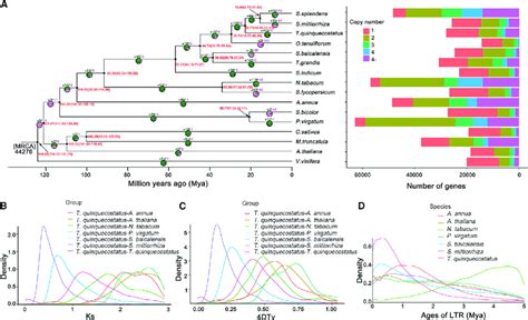 Genome Comparison And Evolutionary Analysis A Phylogenetic Analysis Download Scientific