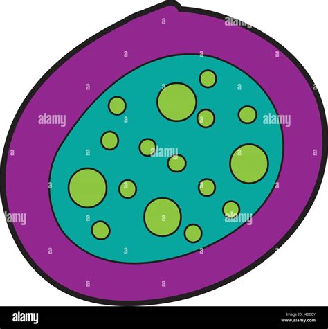 Icono De Estructura Celular Bacteriana Imagen Vector De Stock Alamy