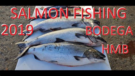 Salmon Compilation King Salmon Fishing Highlights Bodega Bay