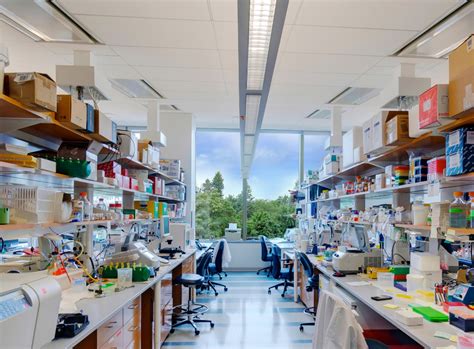 What is RNAi - RNAi Biology | UMass Chan Medical School 