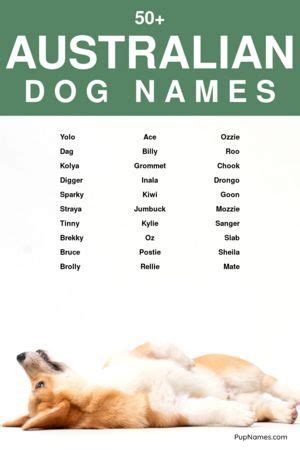 50+ Australian Dog Names (+ Meanings) | PupNames.com™