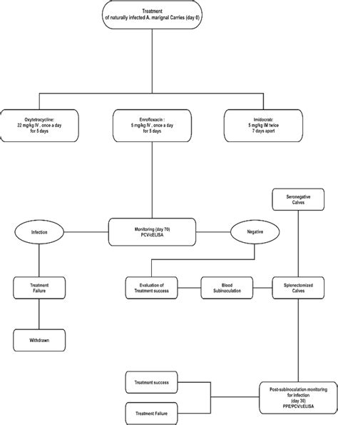 Figure 1 From Chemotherapeutic Efficacy Of Oxytetracycline