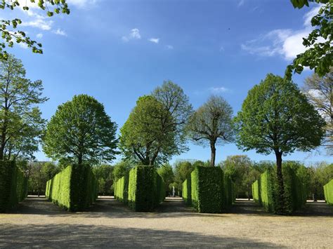 The Schönbrunn Palace: Exploring Vienna's Baroque Masterpiece in Spring ...