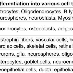 Types of Adult Stem Cells. | Download Table