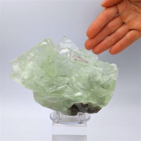 Elegante FLUORITE VERDE Ottima Trasparenza Cristalli Altezza 128