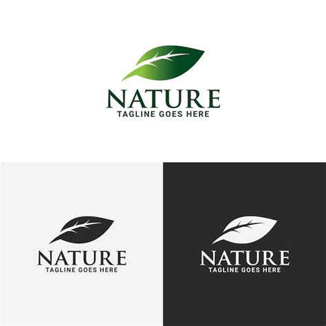 Natur Blatt Logo Vektor Vorlage Premium Vektor