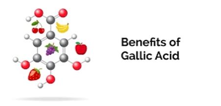 Ellagic Acid Benefits