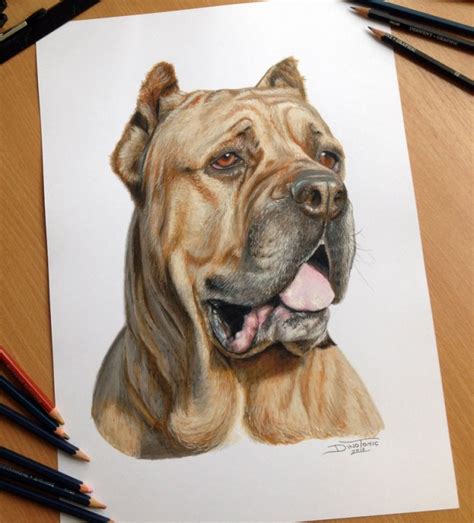 +15 Dibujos de perros que de seguro amarás – Arte Feed