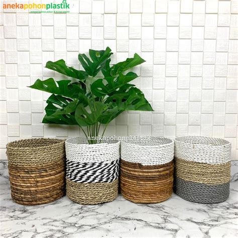 Jual Pohon Daun Monstera X Semi Latek Pot Anyaman Seagrass Hiasan