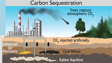 Carbon Sequestration