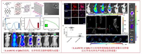 科学网—肿瘤广谱精准靶向成像与药物递送平台 小柯生命的博文