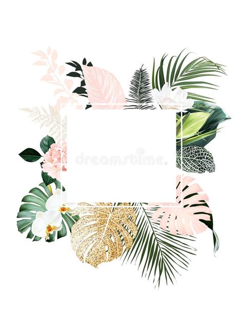 Tropical Elegant Pastel Frame Arranged From Exotic And Dried Palm