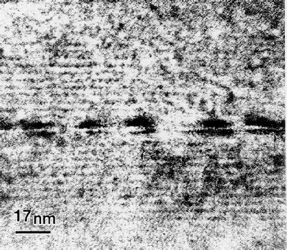 InAs Quantum Dots In GaAs HREM Cross Section A And Plan View B TEM