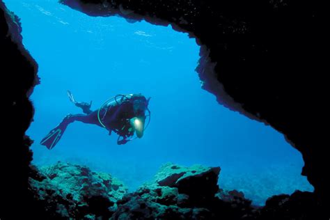 Life In The Latticework Peering Into Underwater Caves And Crevices