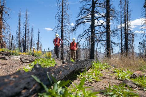 Why Climate Change Could Mean More Explosive Southern California Fires ...