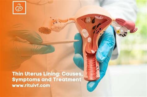 Thin Uterus Lining Thin Endometrium Symptoms Treatment