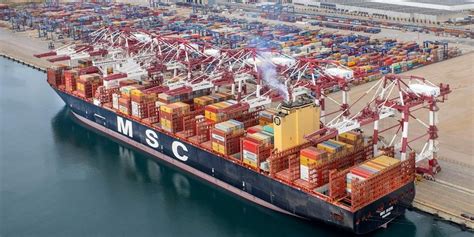 Msc Cma Cgm Evergreen Y Zim Son Las Navieras Que M S Han Crecido En