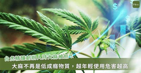 大麻風波未平／台虎精釀創辦人持大麻被抓 醫師示警：兩原因大麻成癮性提高 Heho健康 Line Today