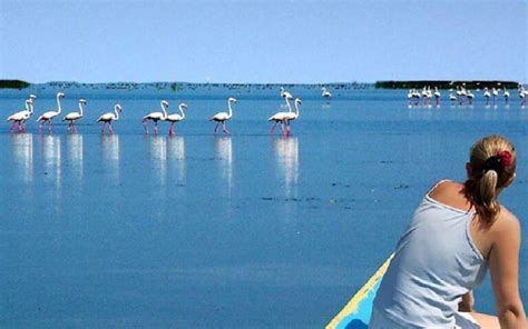 Chilika lake - Best time to visit, Things to do & nearby places