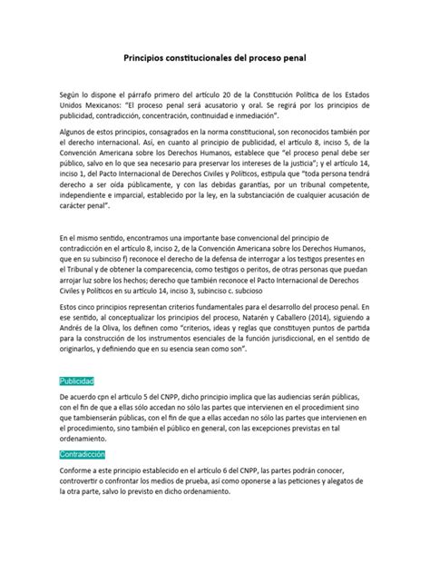 Principios Constitucionales Del Proceso Penal Pdf Procedimiento