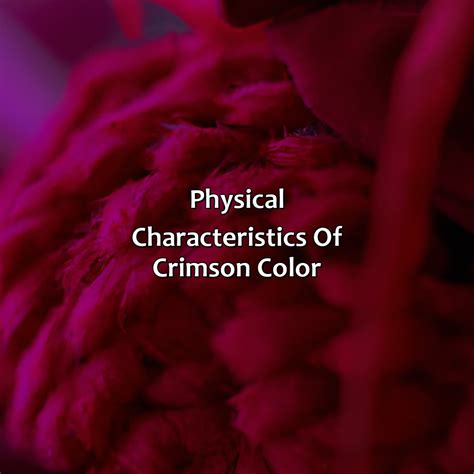 What Color Is Crimson - colorscombo.com