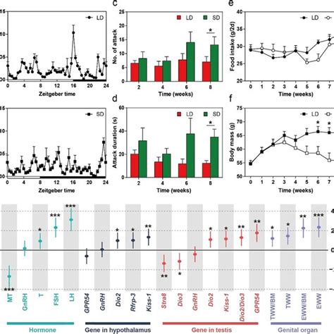 Photoperiod Induced Alterations In Behaviors Body Mass Food Intake