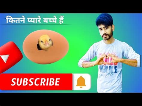 Murgi Ke Bacche YouTube