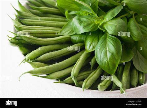 Thin French Green Beans Or Haricots Verts With Basil Leaves On A