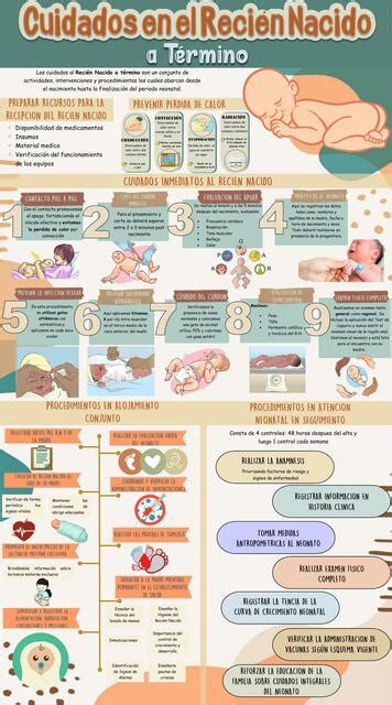 Cuidados En El Reci N Nacido A T Rmino Anayely Rojas Carrasco Udocz