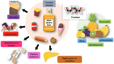 Figure From Efectos Metab Licos Del Consumo Excesivo De Fructosa