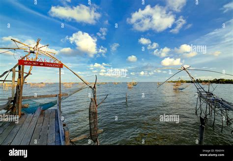 Migratory Waterfowl Hi Res Stock Photography And Images Alamy