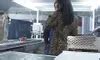 Feste Versuchungen Episode Blowjob Blowjob Porn Feat Maria Del Costa XHamster
