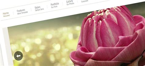 Minimal Joomla Templates Site Bloom