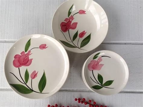 Vintage S Handpainted Floral China Stetson Dinnerware Salad Dessert