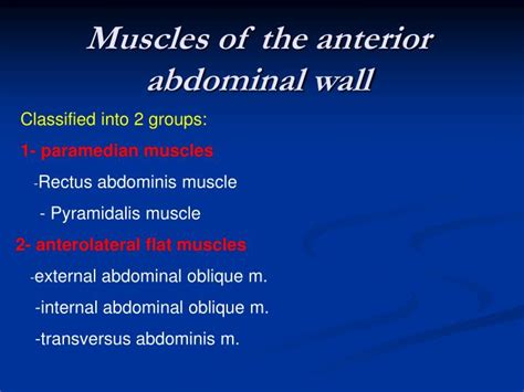 Ppt Anterior Abdominal Wall Powerpoint Presentation Id 5490246